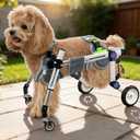 Adjustable Four Wheel Dog Wheelchair for Full Body Mobility Support,Lightweight Front & Rear Legs Mobility Aid Stable Dog Walker, XXS for 6-11lbs、XS for11-18lbs、 XSLW for 17-33lbs.Different sizes are designed to match your pet’s body structure for a stable and comfortable fit.