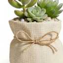 Succulent Pots Flower Pots for Indoor Plants Cute Plant Pots Candy Bowl for Office Key Holder Bowl Farmhouse Table Decor (White) (Large)