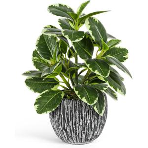 Artificial Plants Indoor Outdoor, Faux Variegated Oak Leaf Plant, Fake Potted Plants Artificial Decor for Coffee Table Desk Shelf, Faux Plants Indoor for Living Room Bathroom Bedroom Entryway Office (Green#02)