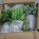 Fake Plants,5Pack Mini Potted Artificial Plant Small Faux Plant Indoor Outdoor for Home Decor,Eucalyptus Greenery Plastic Fake Green Grass Plants for Office Bathroom Shelf Farmhouse Coffee Table Decor