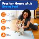 American Kennel Club Scented Puppy Training Pads with Ultra Absorbent Quick Dry Gel 28 x 30 Pee Pads for Dogs - Fresh Scented - 50 Count, XL