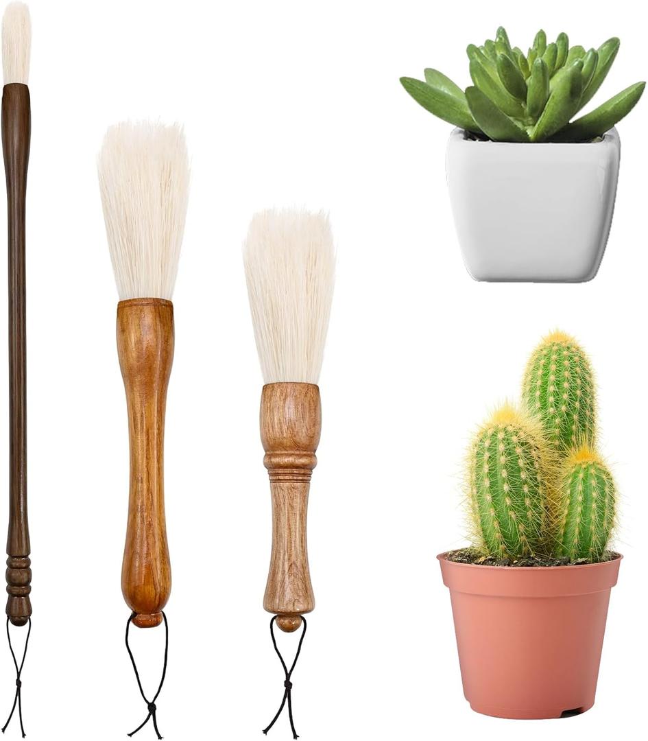 Cactus Plants Cleaning Brushes,Wooden Handles with Goat Hair Bristles,Garden Plant Cleaning Tools,Mild and Soft,Extra-Long BristlesThree Different Lengths, Suitable for Various Plants and Scenarios.