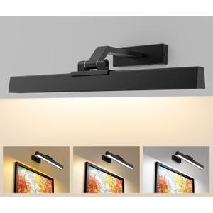 Picture Lights for Wall, Battery Operated Picture Light 16in Gallery Light for Paintings CCT Dimmable Recharging Battery Wall Light with Remote Control for Living Room Gallery Dartboard Art Bathroom (Black)