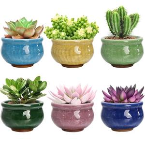 Okllen Set of 6 Small Succulent Pots, Ceramic Succulent Planters Stylish Crackle Glaze Design with Drainage Holes for Indoor/Outdoor Small Plants, Plants Not Included