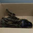 50 Inch Posable Furry Spider