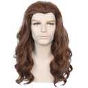 Mens Brown Wig 80s Hippie Man Wig Long Wavy Brown Male Hair for Halloween Cosplay Costume