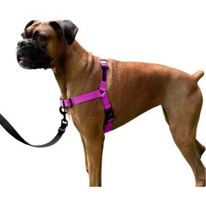 ShawnCo Dream Walk No-Pull Dog Harness- Adjustable, Comfortable, Easy to Use Pet Halter to Help Stop Pulling for Small, Medium and Large Dogs (Orchid, M)