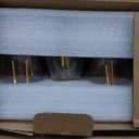 Outdoor String Lights, LED 24FT White Cord 12 Hanging S14 Bulbs,2200K