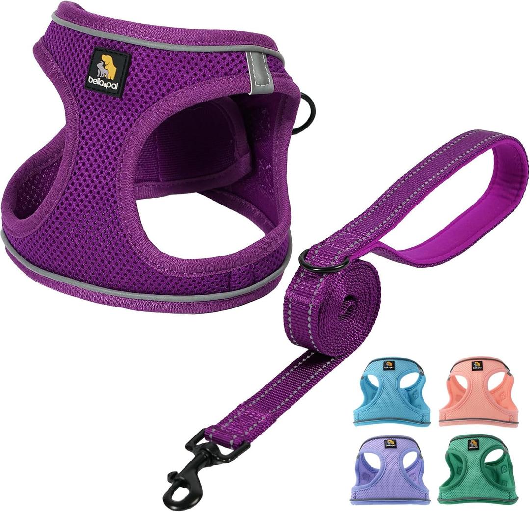 BELLA & PAL Step in Vest Harness for Small and Medium Dogs, No Pull Small Dog Harness with Leash Set, Comfortable Air Mesh Dog Vest Harness with Reflective Strip (Grape Purple, M)