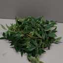 Ling's moment 6ft Rosa Banksiae Artificial Garland, Silk Laurel Leaf Vine for Wedding Arch, Table Centerpiece & Event Decor, Faux Greenery Filler for Elegant Arrangements
