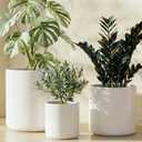 LE TAUCI Ceramic Pots for Plants, 10/8/6 Inch Indoor Planters with Draiange Hole, Silicone Plug & Mesh Pad, Modern Minimalist Pots for Home Office, Set of 3, Satin, White