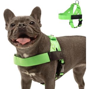 Dog Friendly Co. Dog Harness | Chafe Resistant Webbing, Adjustable Neck & Chest, and Heavy Duty D-Ring | Sturdy, Comfortable, Easy to Use | Neon Green, Size L