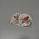 2 x Cardinal Christmas Ornaments Red Cardinal Gifts for Women Girls Hanging Clearance Keepasake Stocking Stuffers Xmas Tree Decor