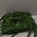 12FT2 * 6FTNorfolk Pine Garlands, Christmas Cedar Garland, Real Touch Faux Green Garlands, Winter Artificial Greenery Garland for Mantle, Stairs, Table, Fireplace, Indoor & Outdoor Xmas Decorations