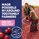 Ocean Spray White Cran-Strawberry Juice Drink, 64 Fl Oz Bottle (Pack of 1)