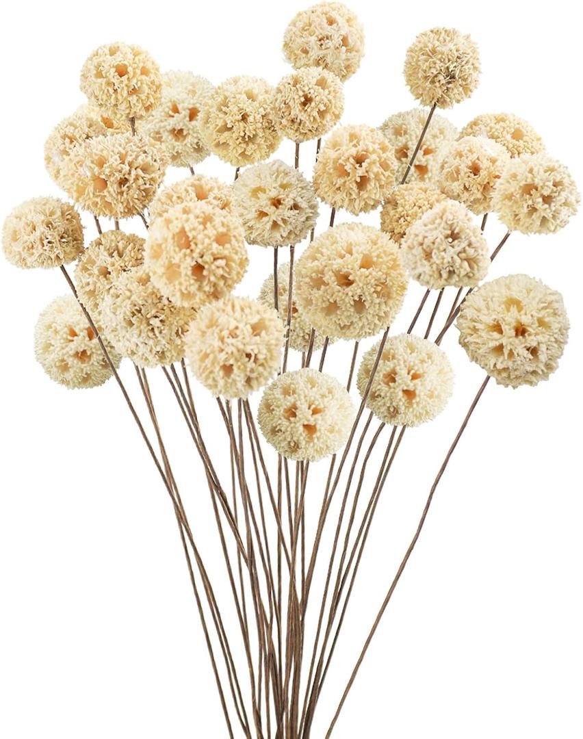 24 PCS Dried Craspedia Billy Balls Flowers, 18 Natural Dried Flowers Bouquet for Vase Floral Arrangements Wedding Table Centerpieces Party DIY Home Decor (White)
