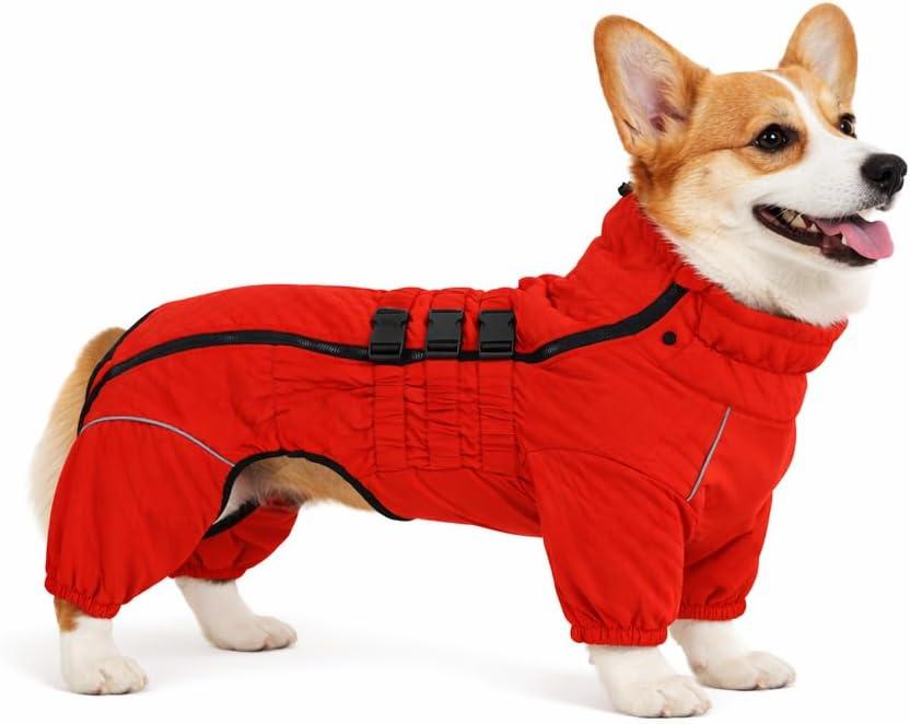 Warm Double Layers Dog Vest - 4 Legs Covered Windproof Waterproof Reflective Coat for Outdoor Skating - Costume for Corgis Dachshund - Orange, Size: D-L (Dachshund/Corgi Back 17")