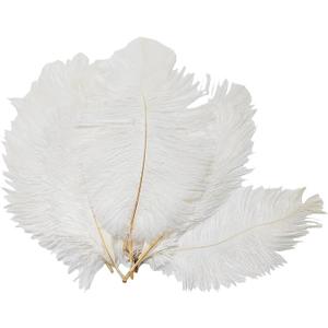 50PCS White Fullness Natural Ostrich Feathers DIY Craft Feather Home Decor for Wedding Sewing Crafts Costumes Decoration(15-20CM) 50PCS White Fullness Natural Ostrich Feathers DIY Craft Feather Home Decor for Wedding Sewing Crafts Costumes Decoration(15-20CM)