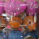 24 Pcs Large Hatching Dinosaur Eggs Easter Party Favors, Easter Egg Filled Toys for Kids Toddlers Grow in Water Dinos Egg Science Kits, Goodie Bag Stuffers, Classroom Prizes, Easter Basket Stuffers (Multicolor)