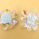 QTMY 1 Pair Crystal Flower Shoe Clips DIY Weeding Princess Shoes Decoration Accessories for Women Bride(Crystal Shoe Clips)
