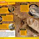 Ultimate Explorer Field Guide: Rocks and Minerals