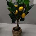 Artificial Potted Plants 17.3 inches Small Fake Lemon Tree Artificial Lemons Citrus Tree with Woven Pot Faux Plants Indoor Lemon Decorations for Home,Office, Living Room Table, Desk