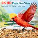 birdsnap TUC Bird Feeder with Camera 2K HD Live with 32GB Card Auto Detect & Notify AI Identify Camera Birds Feeders Solar Powered Wireless Outdoors Backyard Gift for Mom Dad Birds Lover, 2.4G WiFi