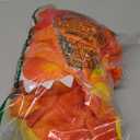 Morph - Orange Dinosaur Costume Kids, Toddler Dinosaur Costume, Kids Dinosaur Costume, Dinosaur Halloween Costume , Kids 3/4Y