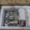 62TE Transmission Valve Body Solenoid Compatible with Dodge Chrysler 2007-up