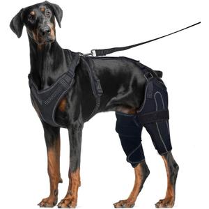 Dog Acl Knee Brace for Torn Acl Leg, Dog Knee Pads for Back Legs Warm Joints and Relieve Joint Pain, Acl Brace for Dogs Rear Leg (L)