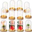 Roowest 12 Pcs Plastic Cloche Dome with Rustic Wood Base and LED Light Plastic Dome Display Case Jar for Wedding Rose Tabletop Centerpiece Decoration (6.5 x 3.7 Inch)