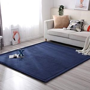 Loartee Coral Velvet Crawling Rug (6'8"x9'2", Dark Blue) for Toddler Children Play Area Rug Yoga Mat Exercise Pad Carpet Loartee Coral Velvet Crawling Rug (6'8"x9'2", Dark Blue) for Toddler Children Play Area Rug Yoga Mat Exercise Pad Carpet