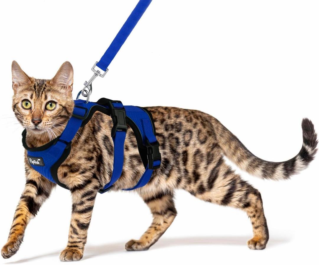 PUPTECK Cat Harness and Leash Set Escape Proof for Walking, Breathable Mash Vest Adjustable Harness for Cats Puppy Small Animals, Reflective at Night, Blue Small (Neck 9"-11.4", Chest 11"-16.1")