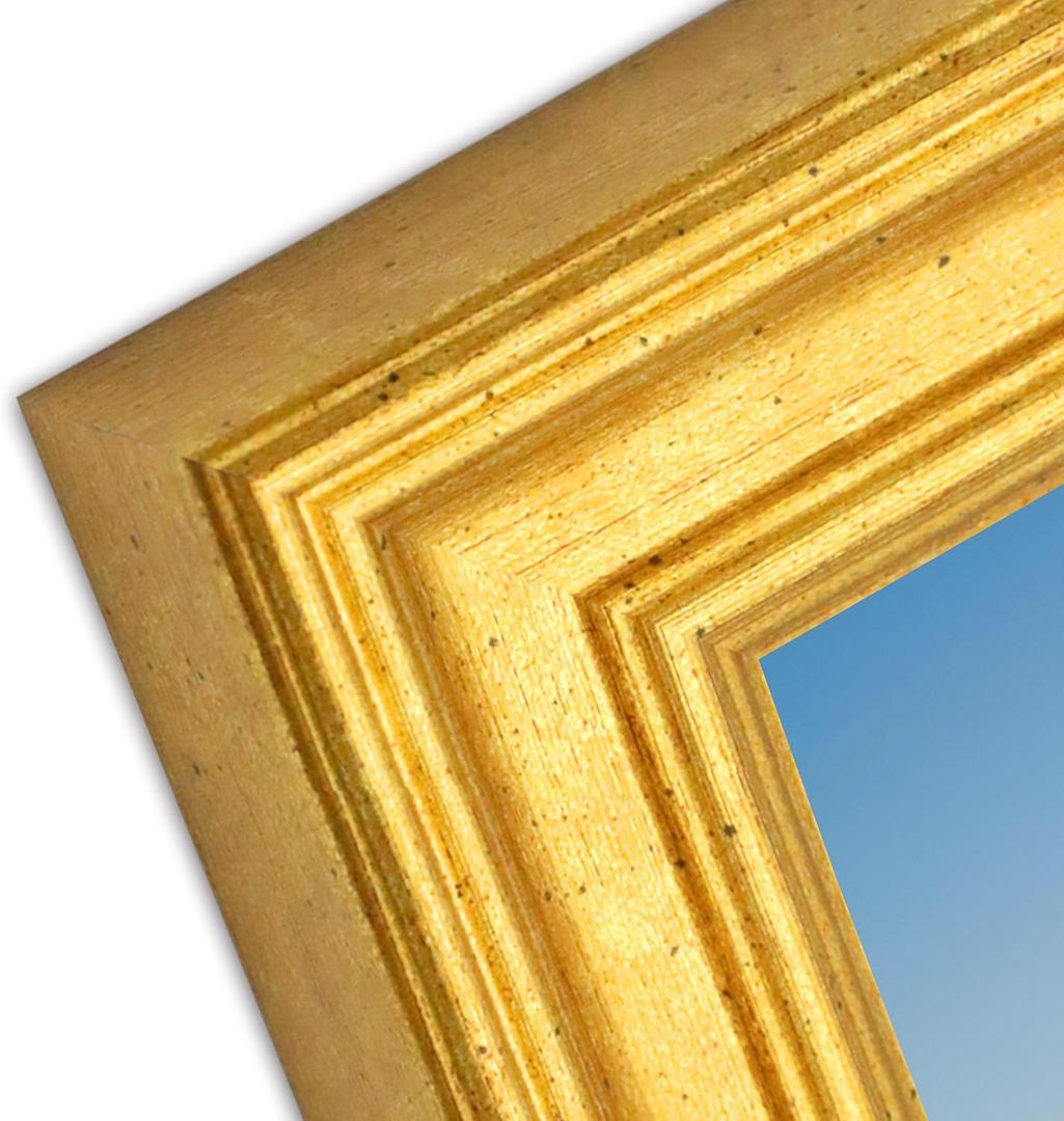 Sophisticated 11X17 Gold Frame  Perfect for Photos, Certificates, and Artwork