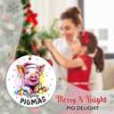 3 x Pig Ornaments for Christmas Tree 2025 - Animal Lovers Gifts for Women, Men, Merry Pigmas animal Ornaments for Christmas Tree Decorations, Funny Gifts for Friends Neighbor Farmer Who Love Pig