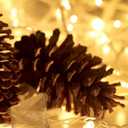 HISHINY Christmas Lights 100 Count Mini Clear Lights 21ft White Wire Christmas Tree String Lights Set for Outdoor Indoor Christmas Decorations Wedding Valentines Day Decor,UL Certified (21feet)
