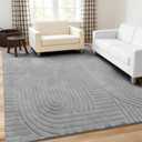 5x7 Solid Color Area Rugs Washable Living Room Rug, Durable Non-Slip Indoor Carpet with Soft High-Low Pile, Fluffy Floor Rugs for Bedroom, Kids Room, House Apartment, Home Office Decor, Grey