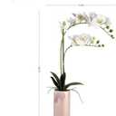 Dolly Parton White Artificial Orchid in Pink Ceramic Pot, 9.8x5.5x24 Inch
