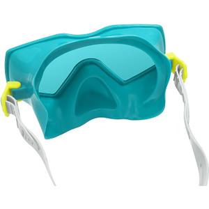  Essential Snorkel Mask