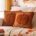 Burnt Orange Pumpkin Fall Pillow Covers 20"x20" Set of 2, Embroidered Faux Fur Decorative Throw Pillow Covers for Couch Soft Fluffy Plush Cushion Cases for Farmhouse Halloween Home Decor