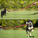 Plutus Pet Double Handle Dog Leash 6ft Long, Padded 2 Handle, Heavy Duty, Reflective Training Leash for Medium Large Dogs, Dual Handle Lead (Pink)