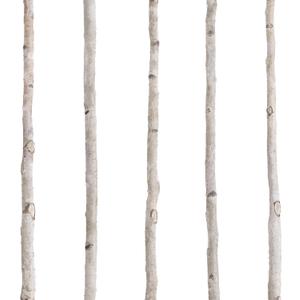 5 Pcs White Birch Poles 4 ft 1.5-2.5" Diameter Natural Wood Sticks