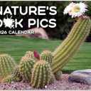 Gag Gifts - Funny 2026 Wall Calendar, 2026 Calendar with Thick Paper, Jan. 2026 - Dec. 2026, 11" x 8.5", Best for White Elephant Gag Gifts