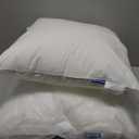 MIULEE 16x16 Pillow Inserts (Set of 2) -Decorative Throw Pillow with 100% Cotton Cover Square for Sofa Couch