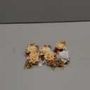 Ling's Moment Boutonniere for Men, 6pcs Groom Groomsmen Boutonniere, Artificial Flowers for Wedding Decor/Prom/Homecoming, etc.Terracotta White