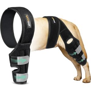 Dog Knee Brace for Torn ACL Hind Leg, Dog Braces for Back Leg for Dogs Luxating Patella, Metal Spring Strong Support and Flexible Joint Care, Stay-on Dog Leg Braces for Rear Leg (XXL)