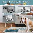 Slow Feeder Dog & Cat Bowls - 3-in-1 Slow Feeding & Water Bowl | Non-Slip Mat & Stainless Steel Bowls | Final Loss Leader Sale | Limited Stock While Supplies Last. (Blue)