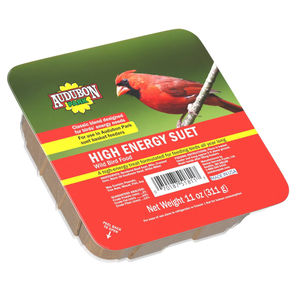 Audubon Park High Energy Suet Wild Bird Food, Pack Of 4, Best By: Aug 26/2025