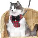 Rypet Small Dog Harness and Leash Set - No Pull Pet Harness with Soft Mesh Nylon Vest for Small Dogs and Cats Red L