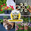 Harris Premium Horticultural Grade Perlite for Plants and Gardening, 8qt